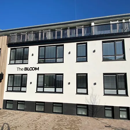 Hotel The Bloom